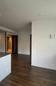 ミレアコート銀座プレミア 