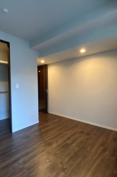 ミレアコート銀座プレミア 