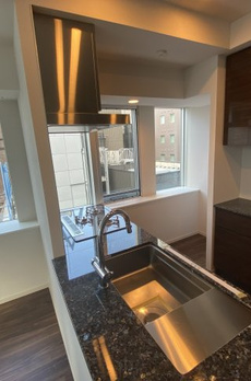 ミレアコート銀座プレミア 