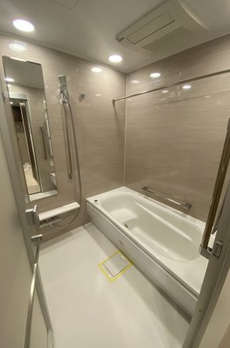 ミレアコート銀座プレミア 