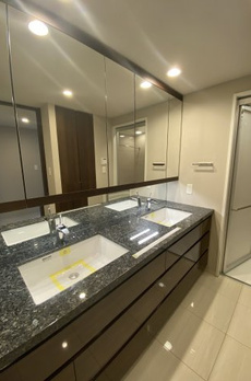 ミレアコート銀座プレミア 