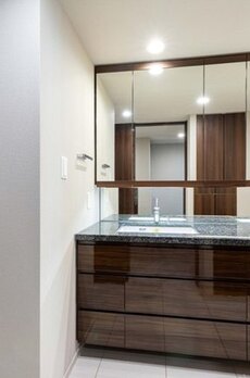 ミレアコート銀座プレミア 