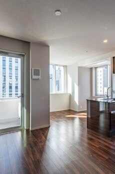 ミレアコート銀座プレミア 