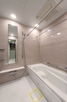 ミレアコート銀座プレミア 