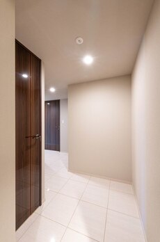 ミレアコート銀座プレミア 