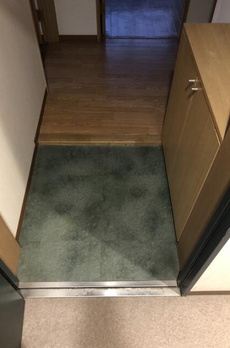 エバーフォレスト 