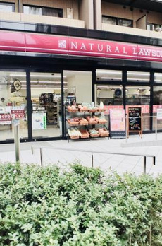 ＫＤＸレジデンス南麻布 