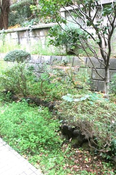 三田グレース 
