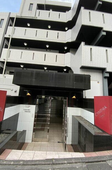 ＣＹＮＴＨＩＡ　ＦＯＵＲ－Ｄ　ＭＥＧＵＲＯＯＨＡＳＨＩ 