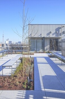 人形町PREX 屋上テラス