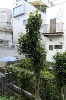 ベルセル南青山 