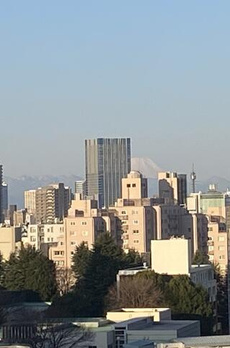 シェフルール文京茗荷谷 