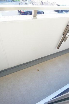 クオリア後楽園（２１６） 
