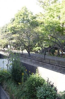 Ｔ’ｓ　ｇａｒｄｅｎ東陽町 