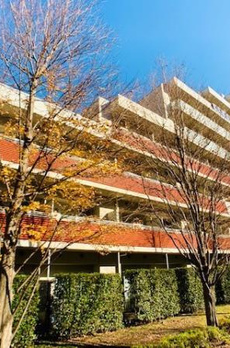 Ｂｒｉｌｌｉａ　ｉｓｔ　三軒茶屋　アイビーテラス 