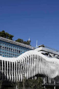 Ｗｉｓｔｅｒｉａ　Ｙｏｇａ 