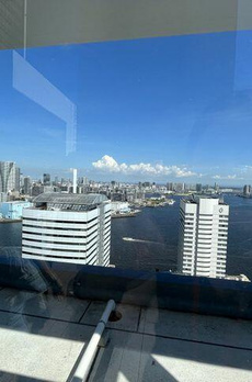 ブリリアタワー浜離宮（Ｂｒｉｌｌｉａ　Ｔｏｗｅｒ浜離宮） 