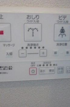 サン　プラント 