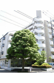 ダイヤモンドメゾン平井 