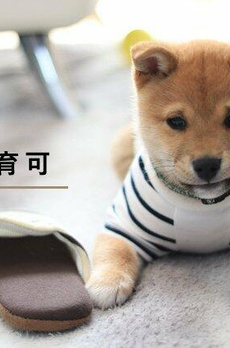 ル・アール新小岩 