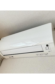 櫻 