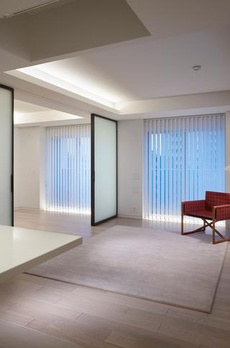 ブランシエスタ駒込 