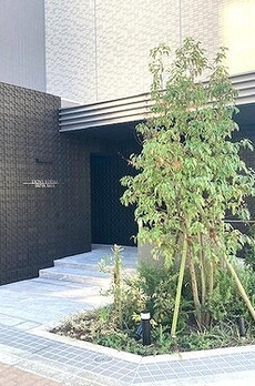 ＲＥＦＲＡＭＥ ５ Ｉｒｉｙａ 