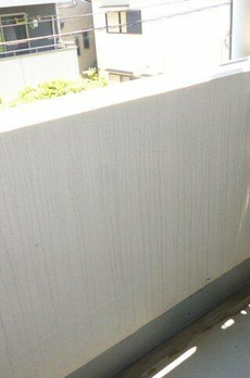 グレイスコート多摩川 