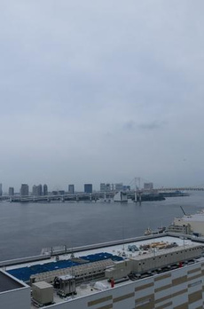 ローレルタワールネ浜松町 