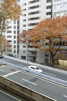 ＺＯＯＭ都庁前 