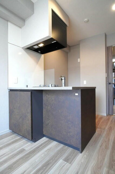 ヴィークブライト湯島 