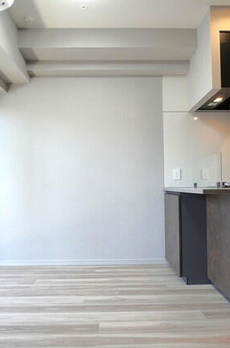 ヴィークブライト湯島 