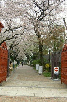 ベラスウィータ高田馬場 