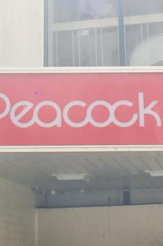 パインステージ白金高輪 