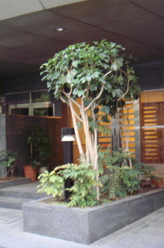 藤和ハイタウン上野 