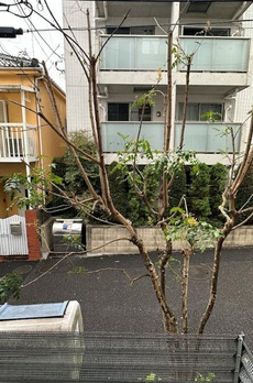 ＺＯＯＭ表参道 