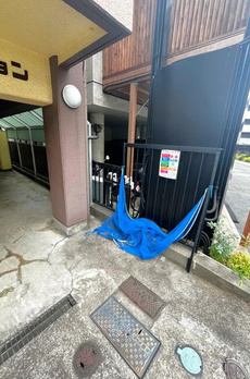 ヤングマンション 