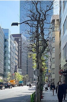 竹内ビル 周辺環境
