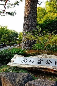 ルナ高井戸 
