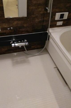 プレミール柿の木坂アネックス 