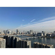 ＨＡＲＵＭＩ　ＦＬＡＧ　ＰＡＲＫ　ＶＩＬＬＡＧＥ　Ｔ棟 
