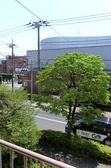 ハイム林 