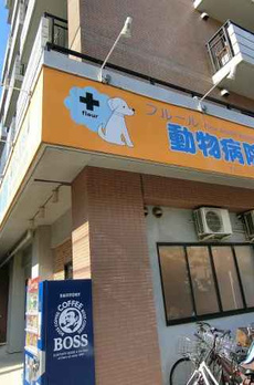 セレスティア東葛西１ 