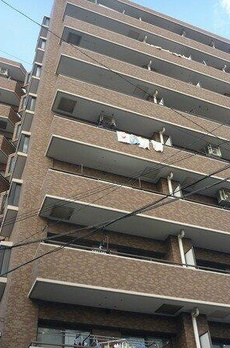 ライオンズマンション亀戸蔵前橋通り 