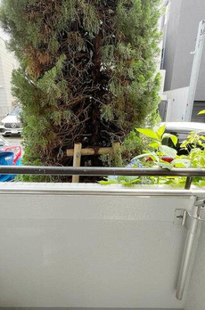 マイナビＳＴＡＹクラッセ千駄ヶ谷（シーアイマンション千駄ヶ谷） 