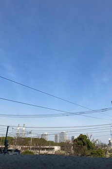 ヴェレーナ木場公園 
