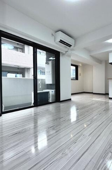 ミルーナヒルズ錦糸町 