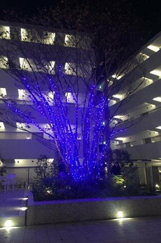 プラウドフラット中野 