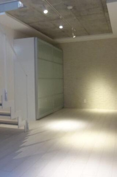 ＬＡＰｉＳ西新宿 