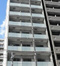 ＦＲＥＲＥ　ＣＯＵＲＴ　錦糸公園